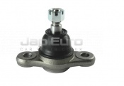 Ball Joint - Lower